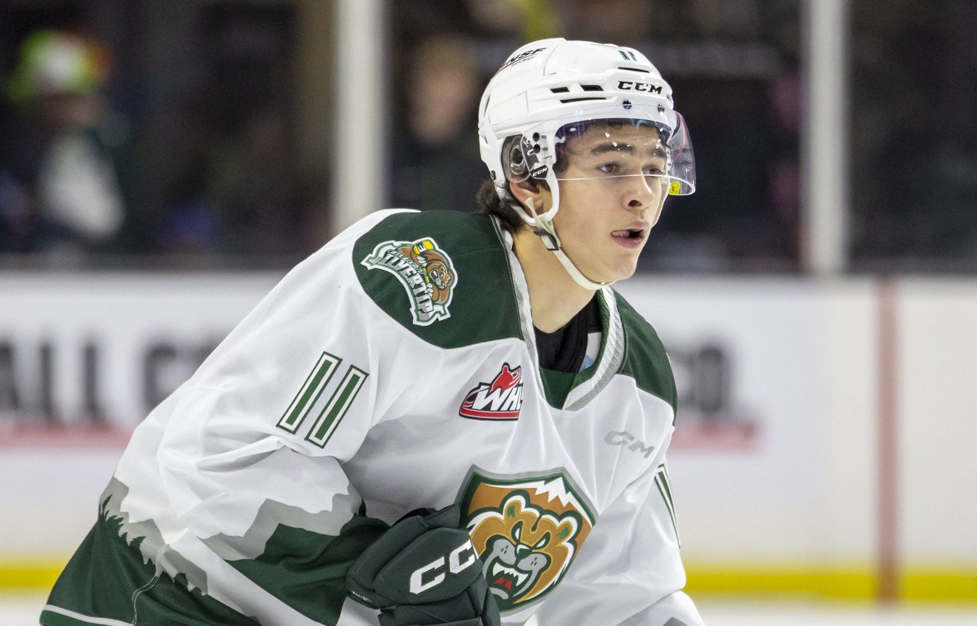 A picture of Carter Bear on the ice in Silvertips gear